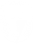 Burgos CF